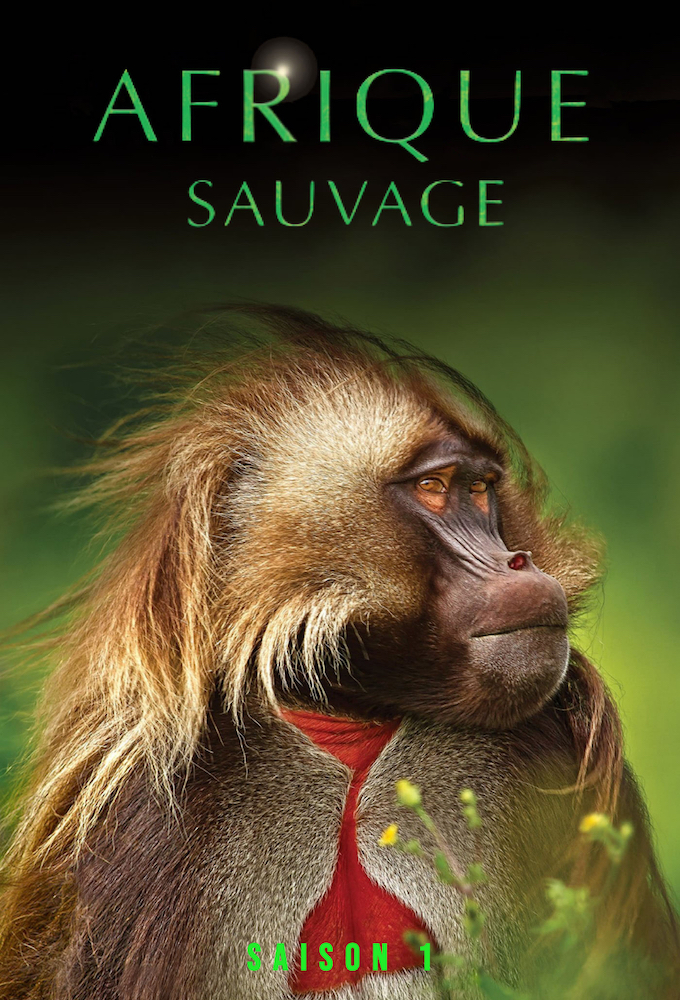 Africa (2013) - Season 1 [94386] (A1772455937) [[TV Programmes]] --Plex--